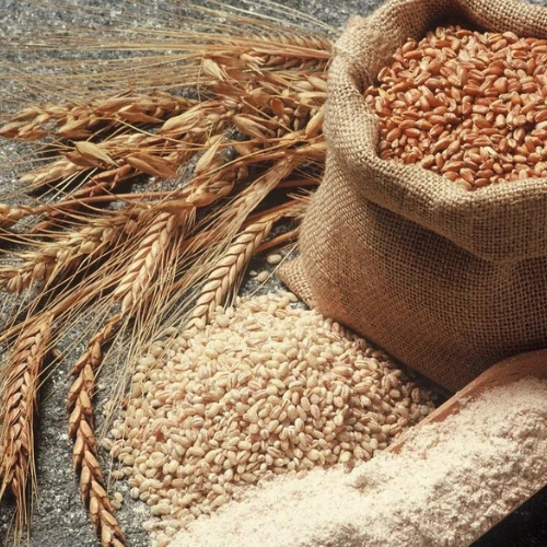 Whole Wheat Atta (MP Sharbati)